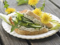 Zdroj: Isifa/Thinkstock
